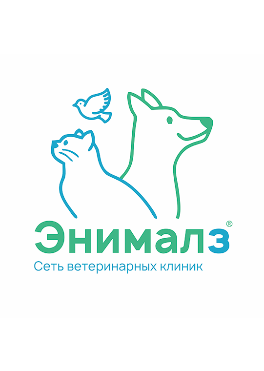 Dynamic Content Image