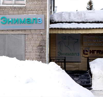 Филиал ветеринарной клиники Энималз на Никитина